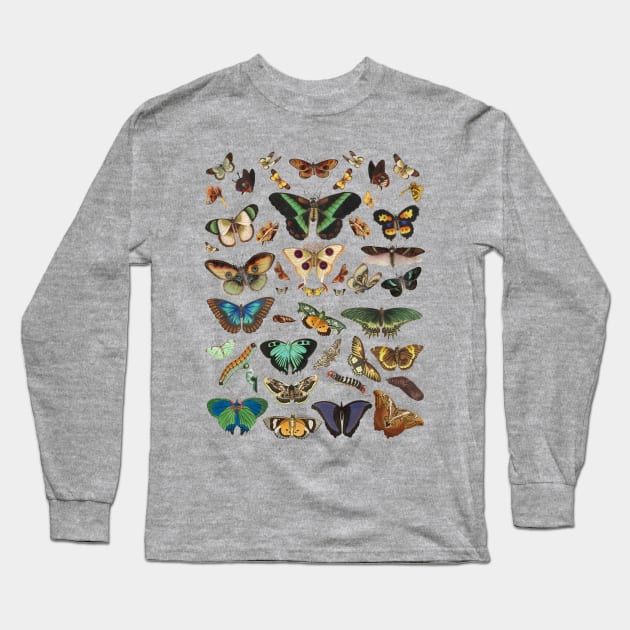 Moth cottagecore, fairycore and goblincore insect moon child Long Sleeve T-Shirt by OutfittersAve